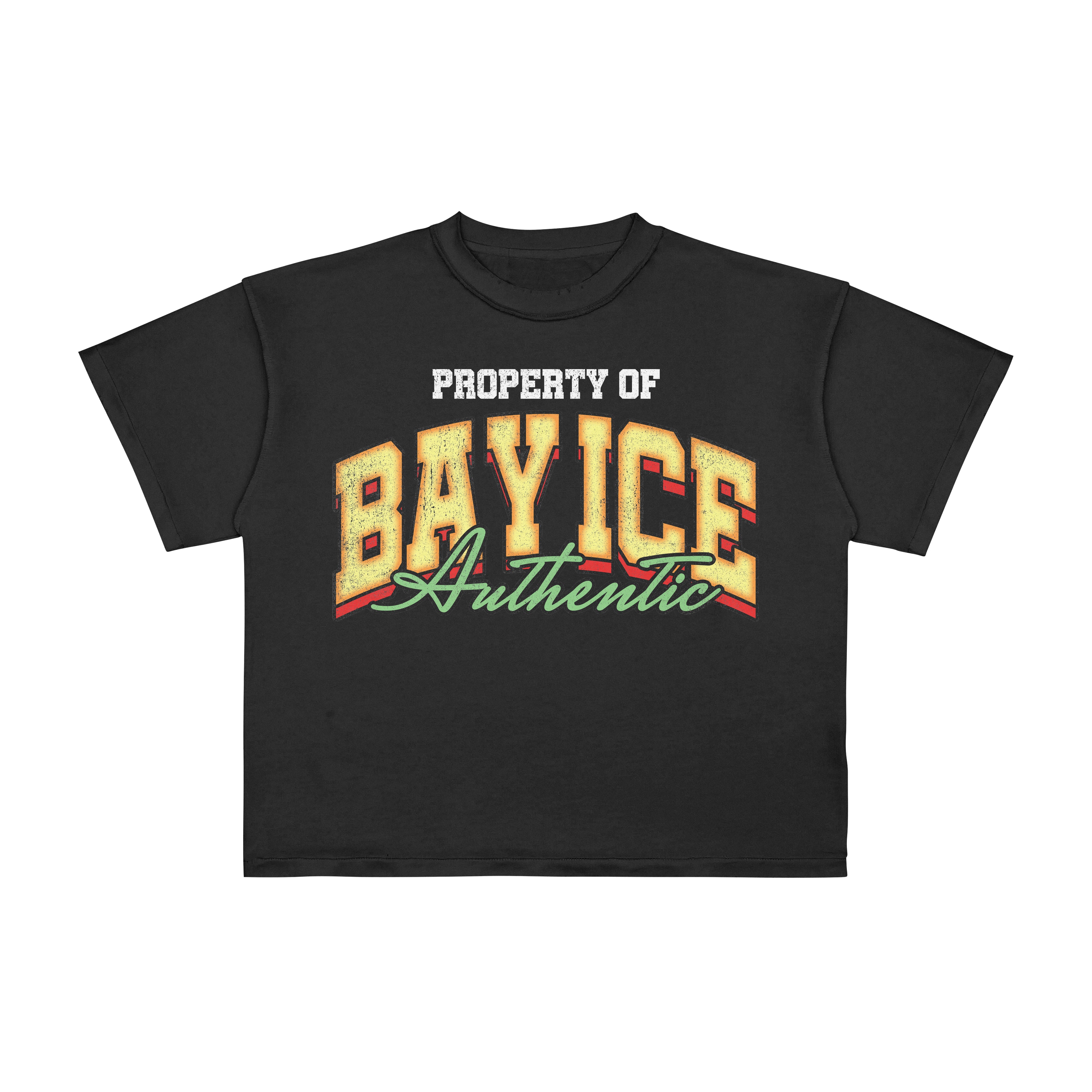 Bay Ice Authentic T-shirt